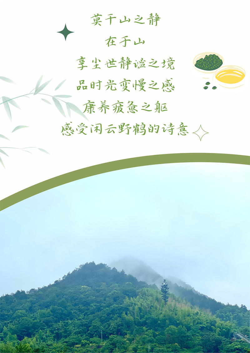 心心念廿 相伴ng28南宫相信品牌力量 | 与德清相约 贺廿载诞辰