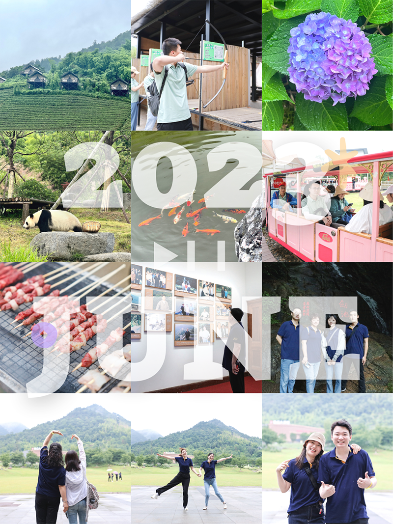 心心念廿 相伴ng28南宫相信品牌力量 | 与德清相约 贺廿载诞辰