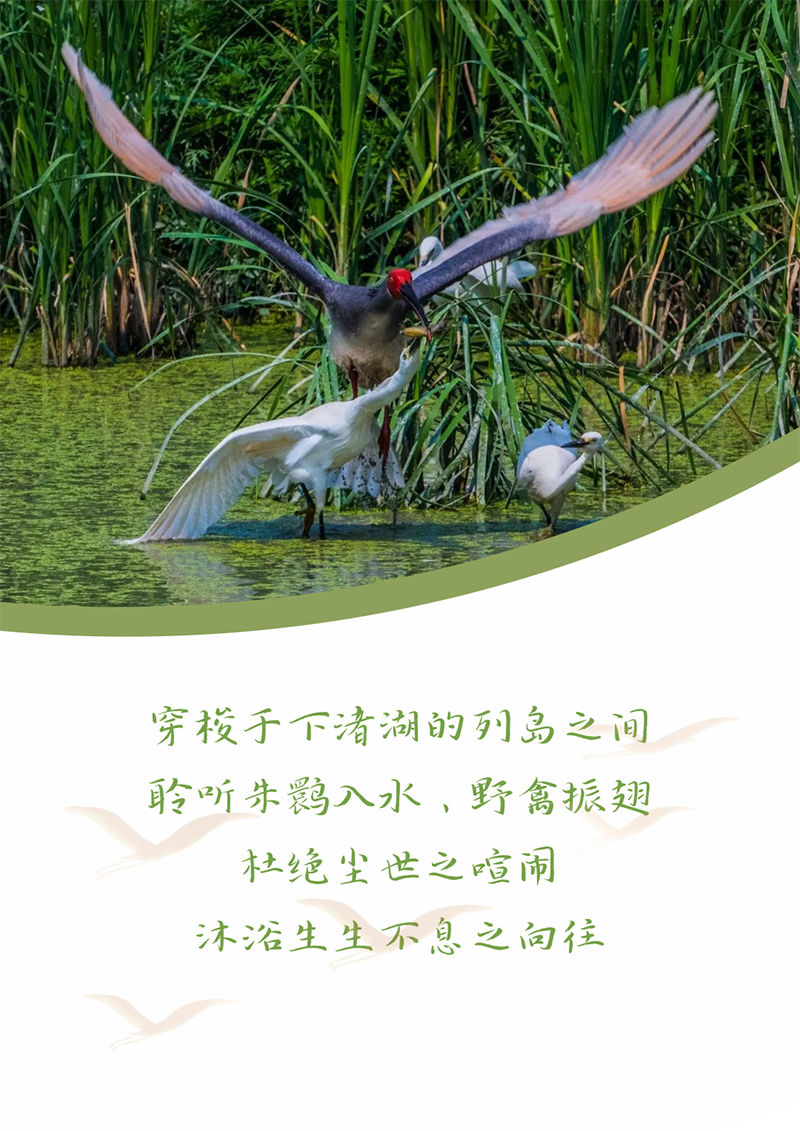 心心念廿 相伴ng28南宫相信品牌力量 | 与德清相约 贺廿载诞辰